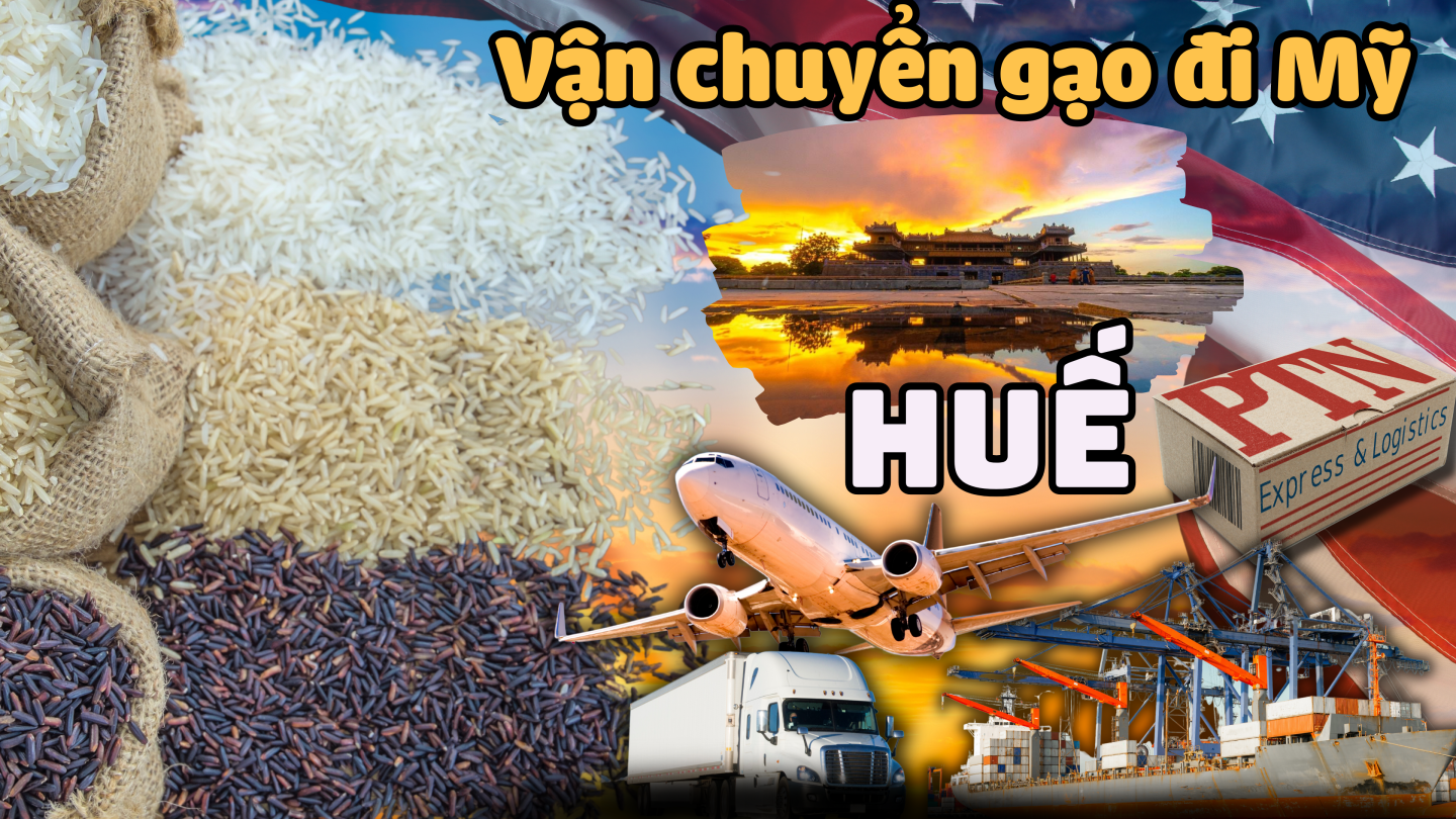 Vận chuyển gạo đi Mỹ tại Huế