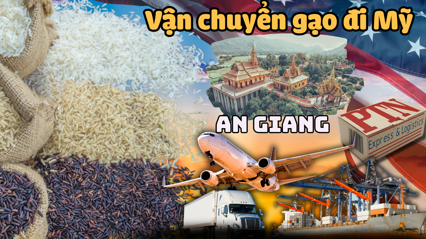 Vận chuyển gạo đi mỹ tại An Giang