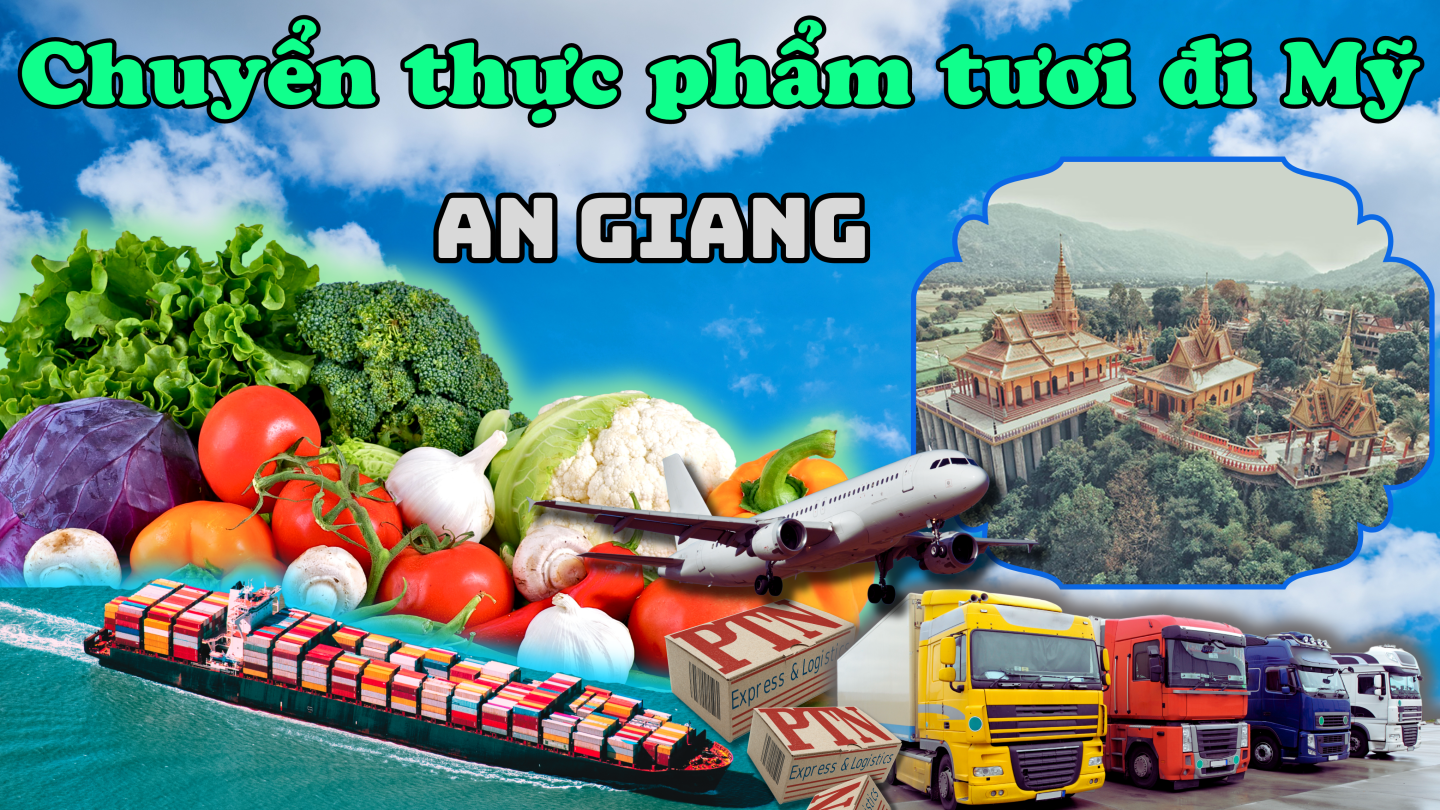 Gửi thực phẩm tươi đi Mỹ tại An Giang