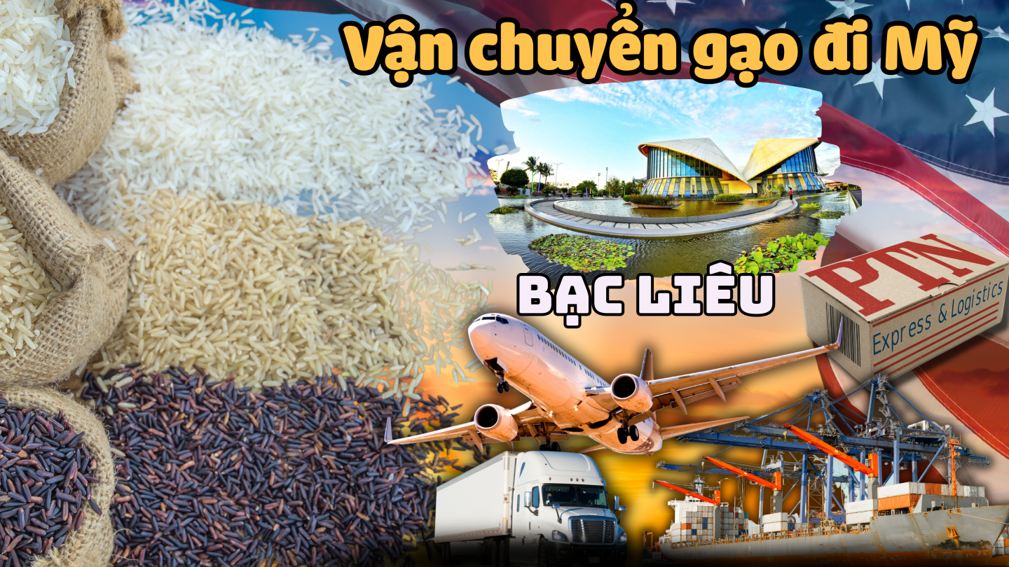 Dịch vụ vận chuyển gạo đi Mỹ tại Bạc Liêu