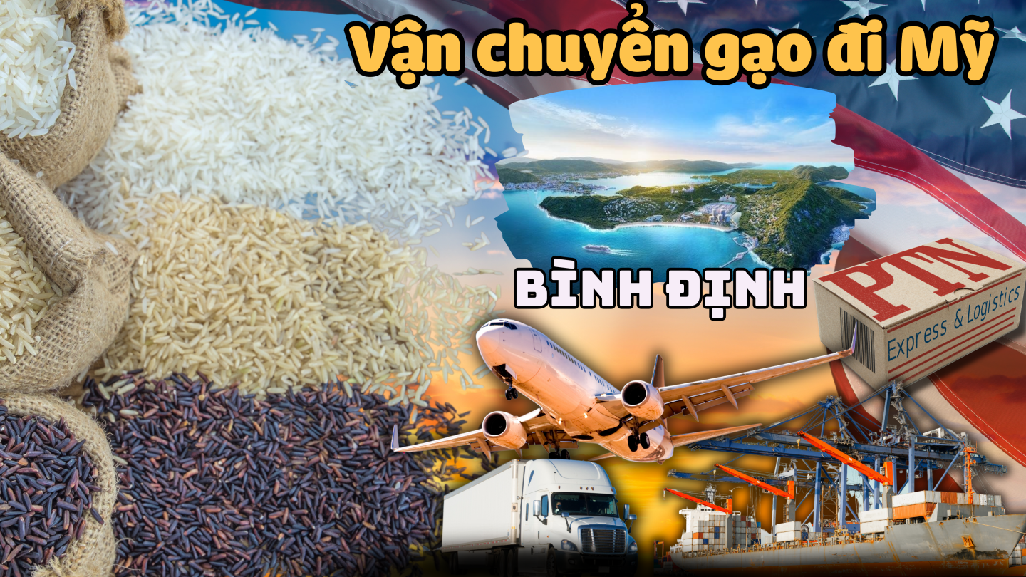 Vận chuyển gạo đi Mỹ tại Bình Định