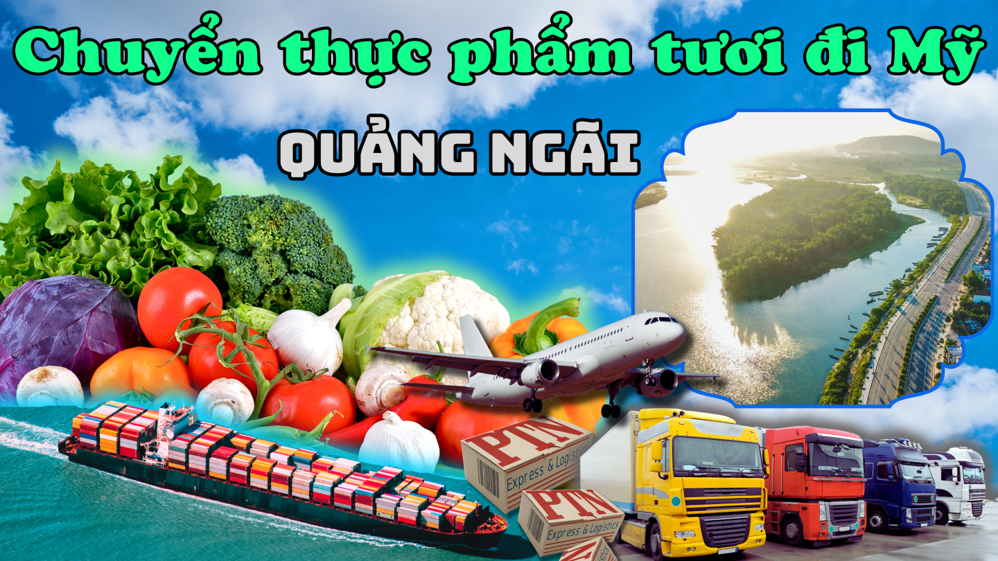 Gửi thực phẩm tươi đi Mỹ tại Quảng Ngãi