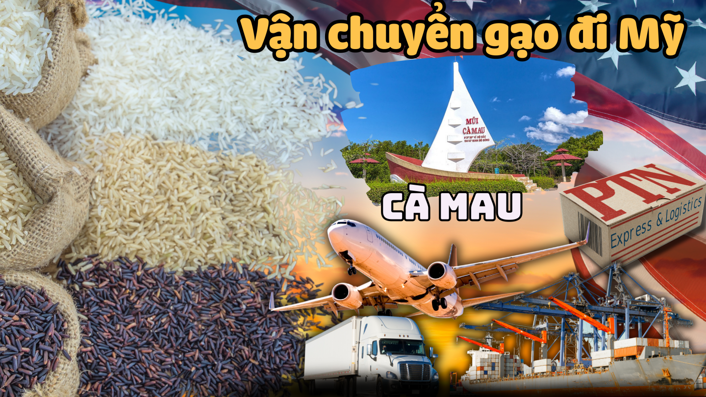 Vận chuyển gạo đi Mỹ tại Cà Mau