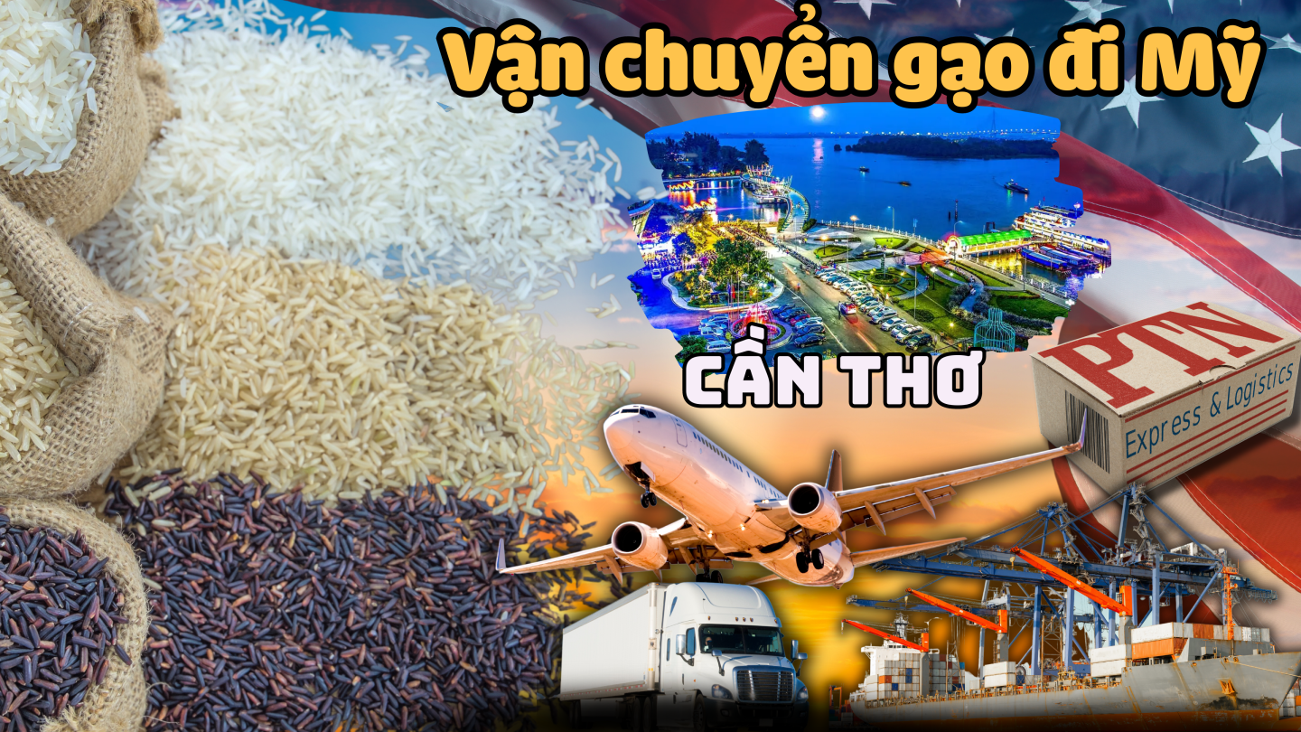 Vận chuyển gạo đi Mỹ tại Cần Thơ