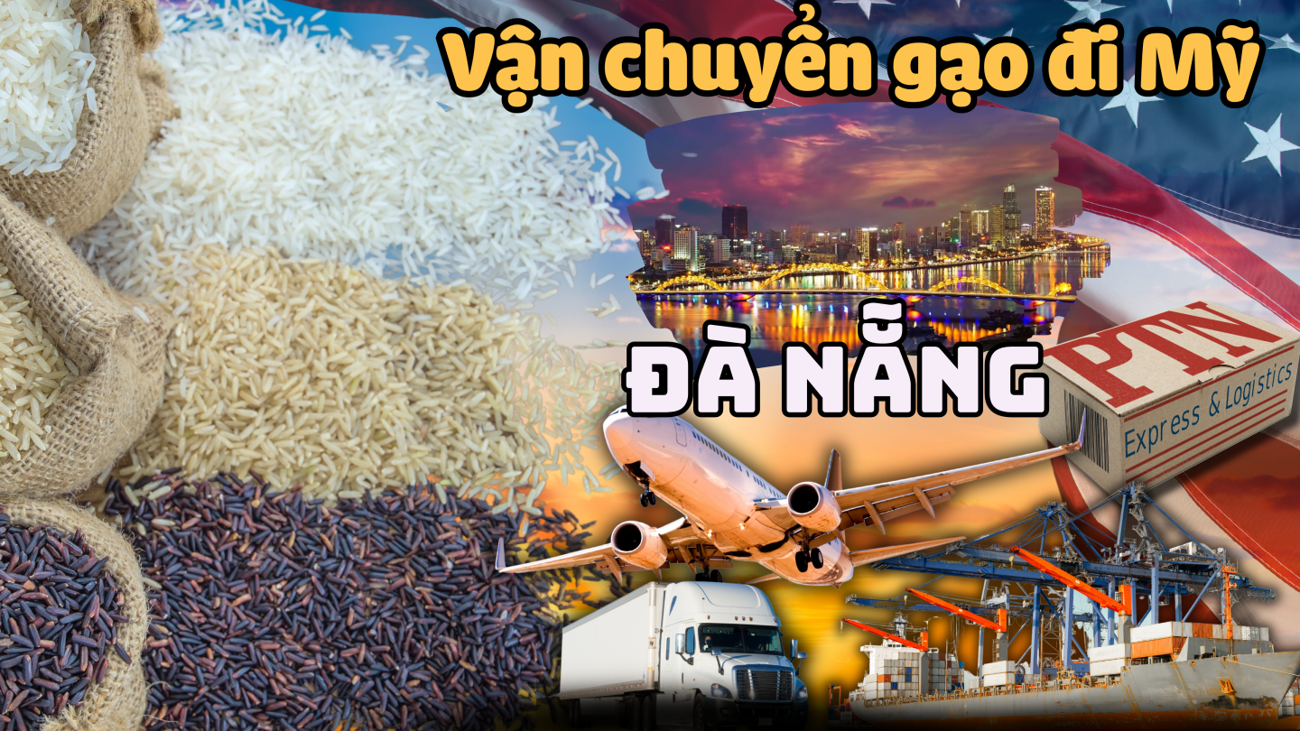 Vận chuyển gạo đi Mỹ tại Đà Nẵng