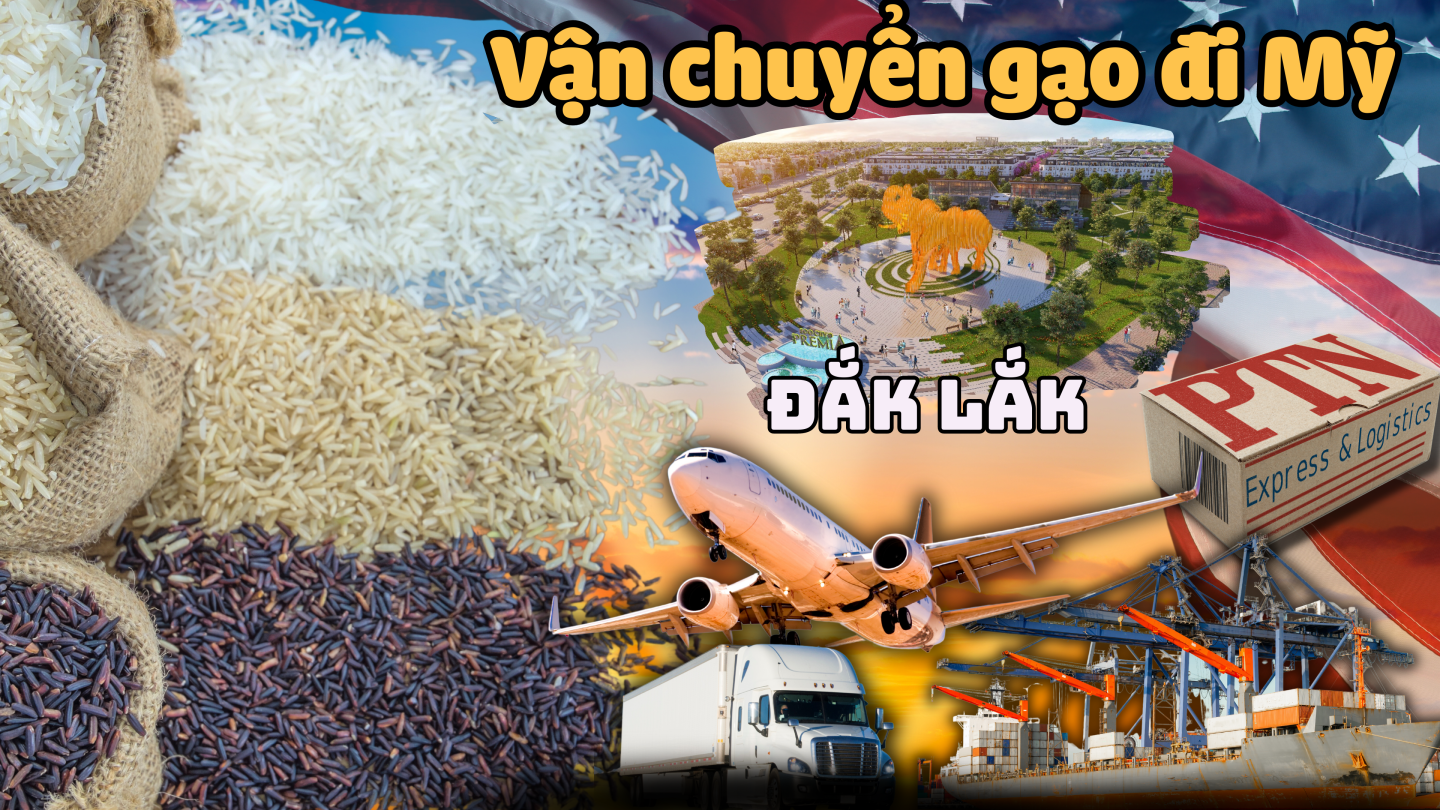 Vận chuyển gạo đi Mỹ tại Đắk Lắk