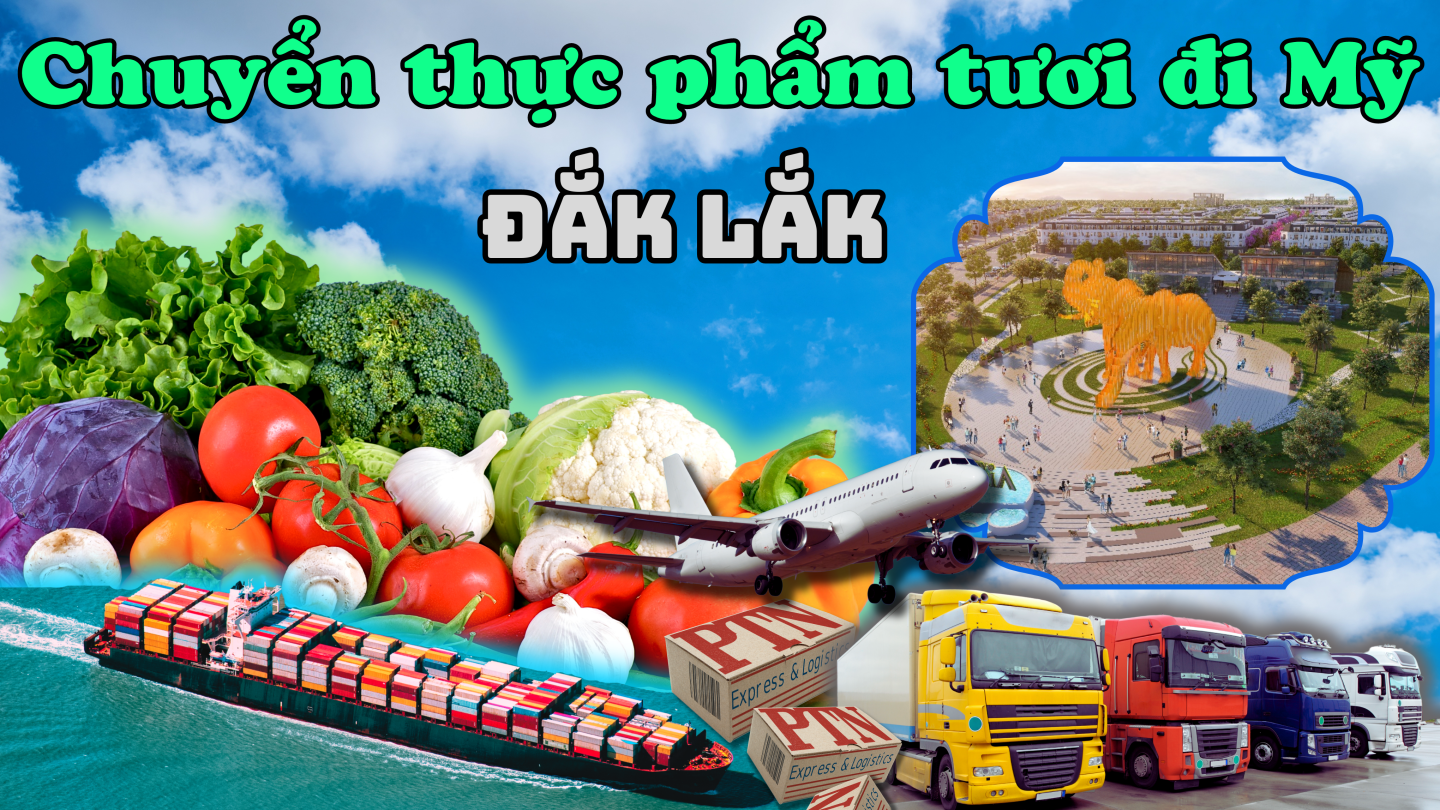 Chuyển thực phẩm tươi đi Mỹ tại Đắk Lắk