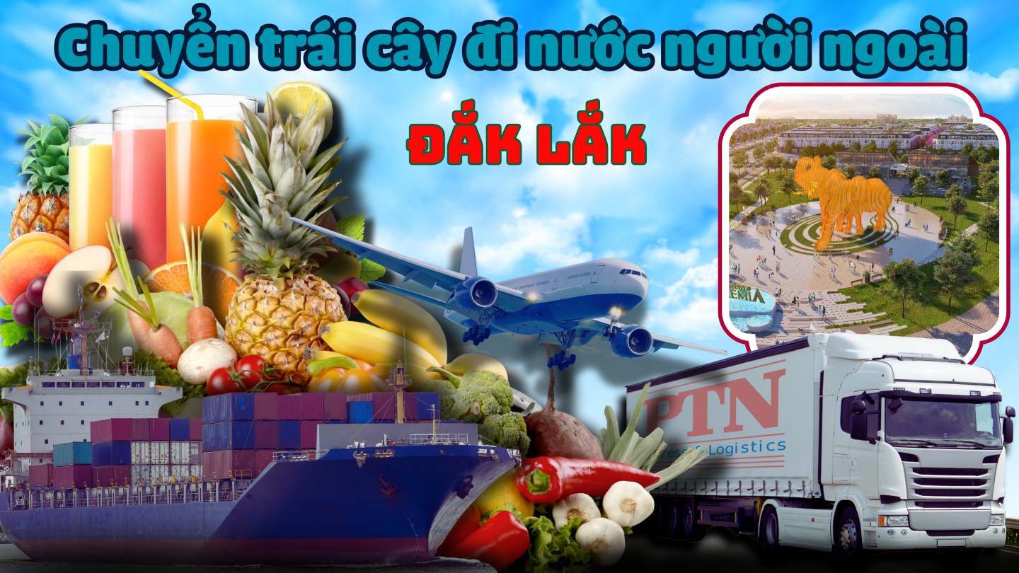 Chuyển trái cây đi Mỹ tại Đắk Lắk