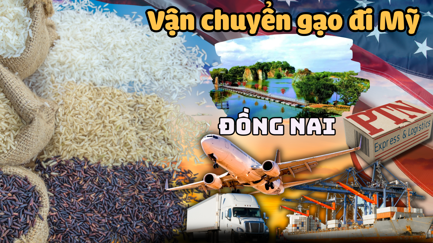 Vận chuyển gạo đi Mỹ tại Đồng Nai