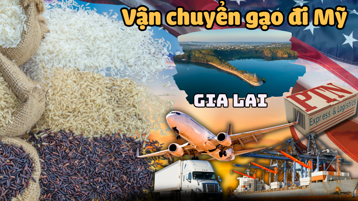 Vận chuyển gạo đi Mỹ tại Gia Lai