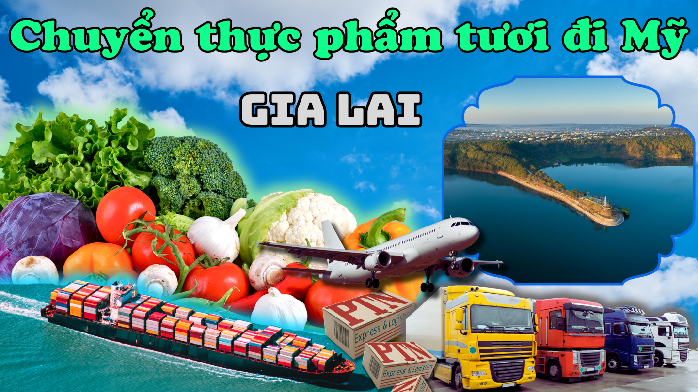 Gửi thực phẩm tươi đi Mỹ tại Gia Lai