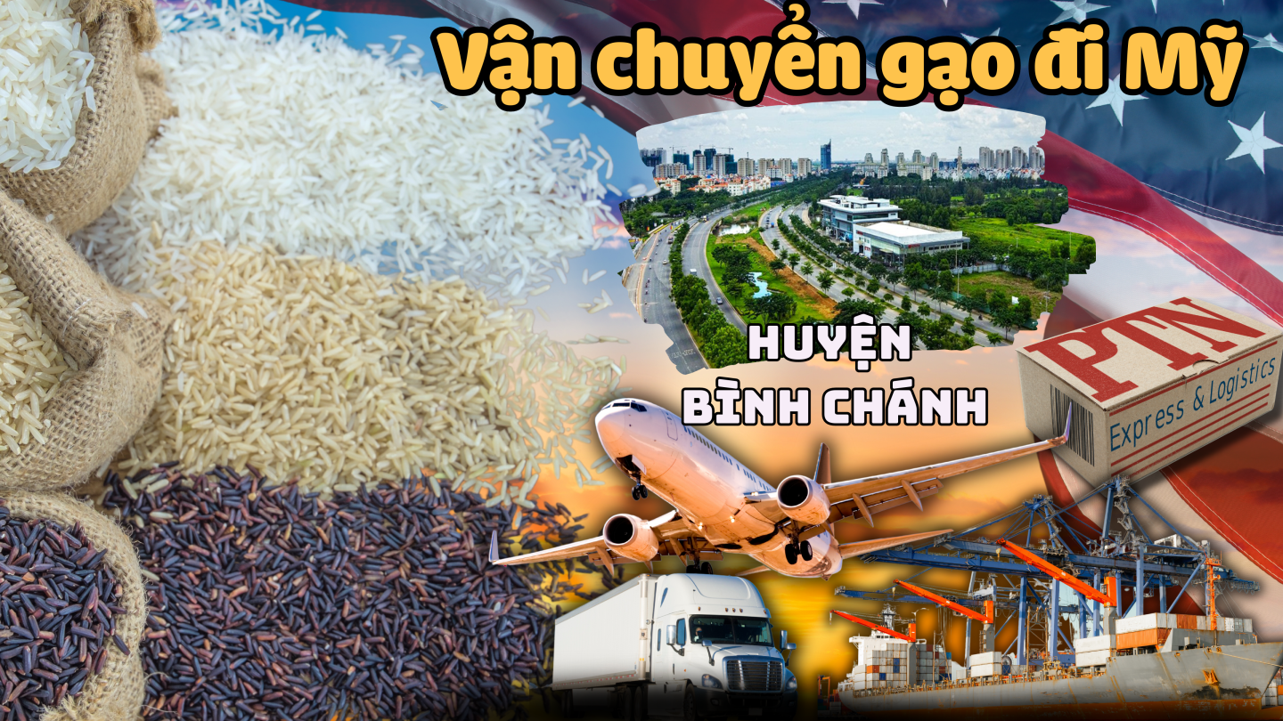 Vận chuyển gạo đi Mỹ tại Bình Chánh