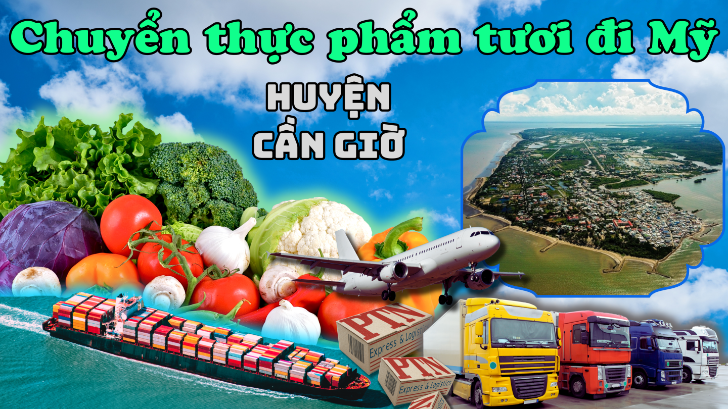 Chuyển thực phẩm tươi đi Mỹ tại Cần Giờ