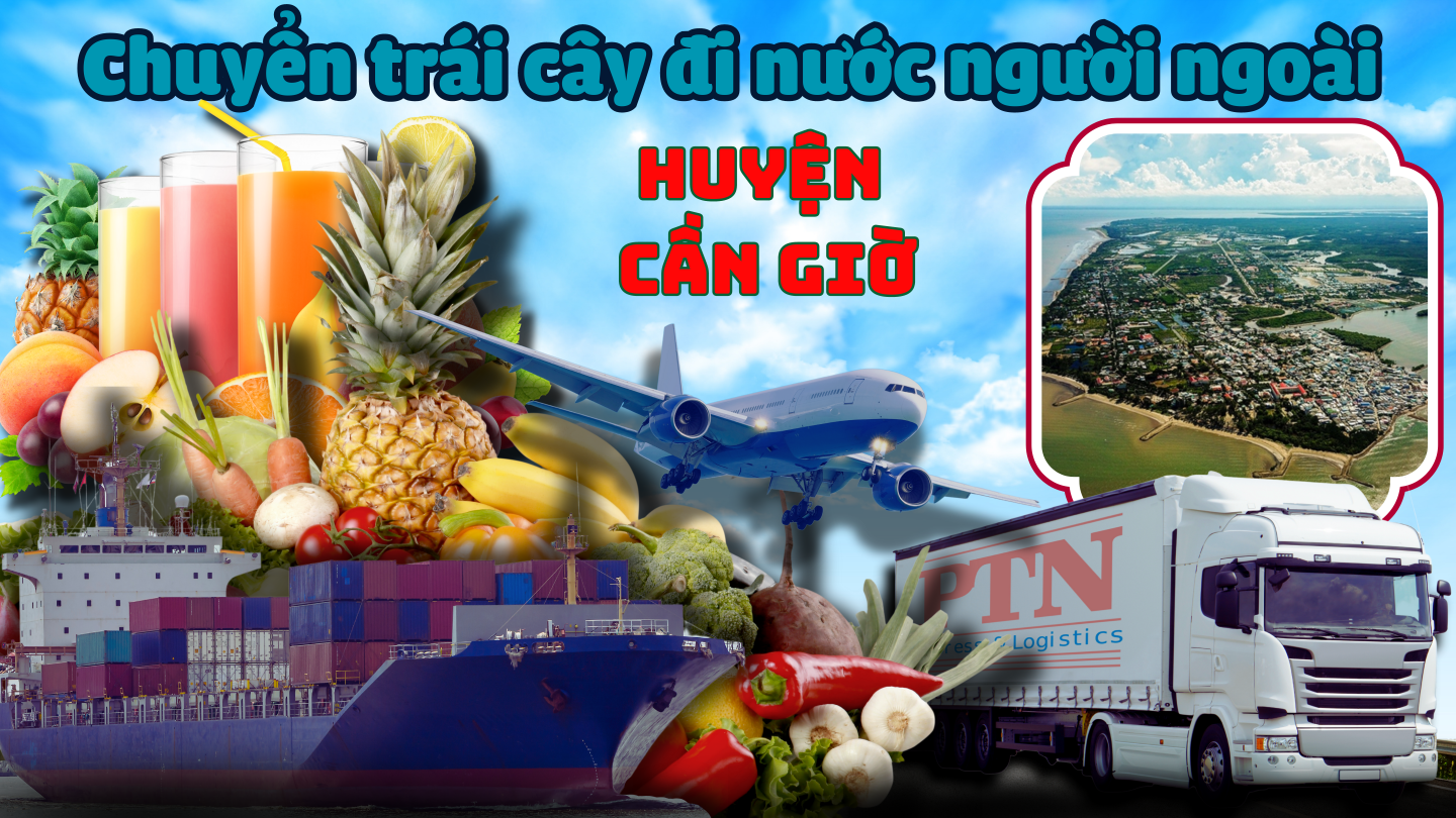 Chuyển trái cây đi Mỹ tại Cần Giờ