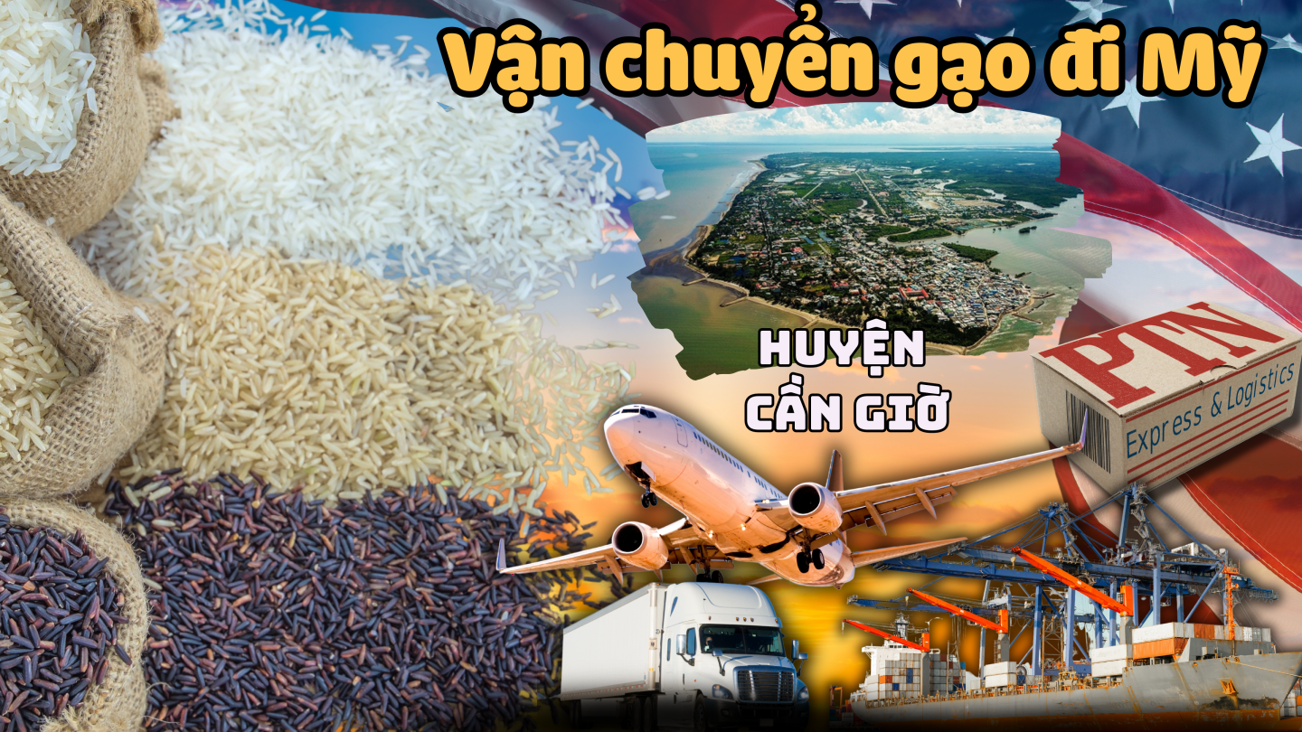 Vận chuyển gạo đi Mỹ tại Cần Giờ