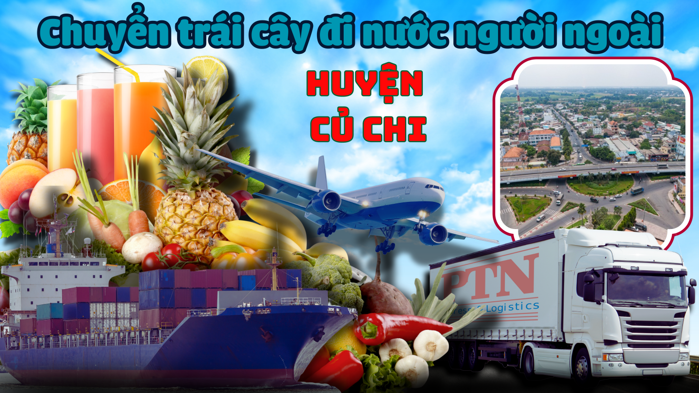 Vận chuyển trái cây đi Mỹ tại Củ Chi