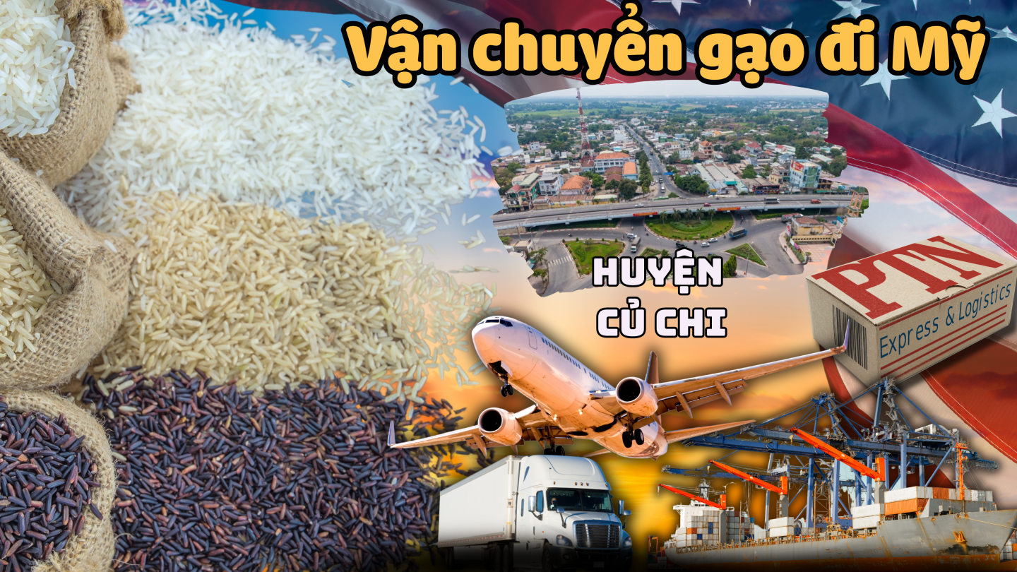 Vận chuyển gạo đi Mỹ tại Củ Chi