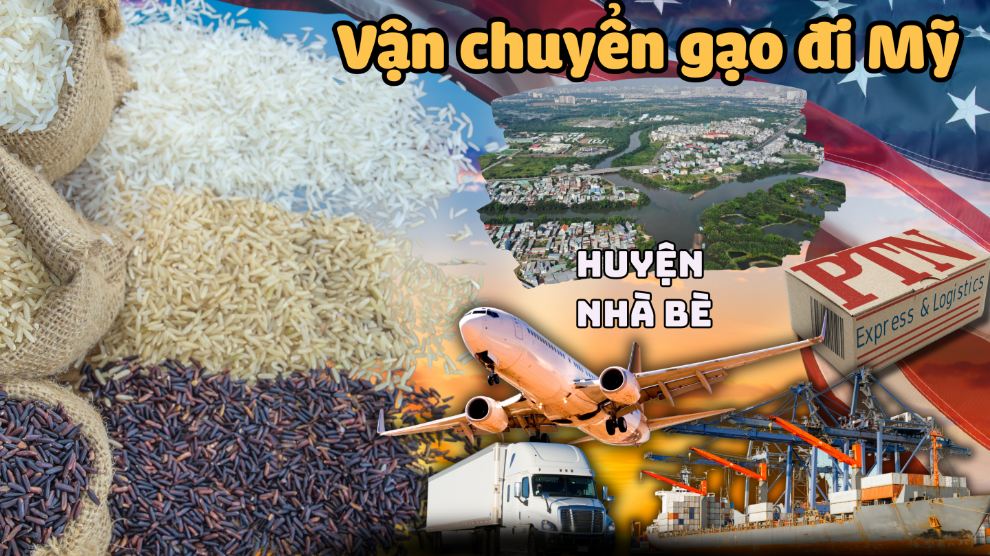 Vận chuyển gạo đi Mỹ tại nhà Bè