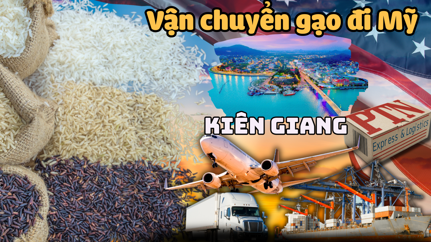 Vận chuyển gạo đi Mỹ tại Kiên Giang