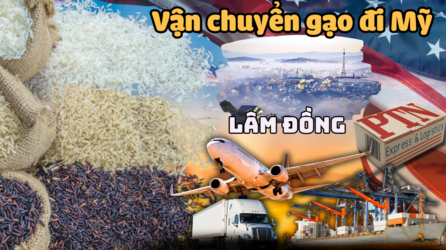 Vận chuyển gạo đi Mỹ tại Lâm Đồng