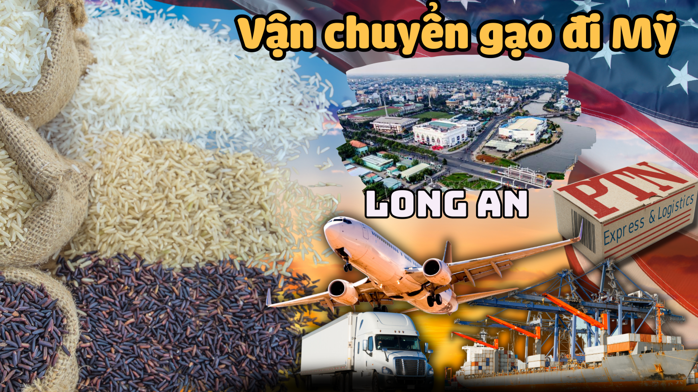 Vận chuyển gạo đi Mỹ tại Long An