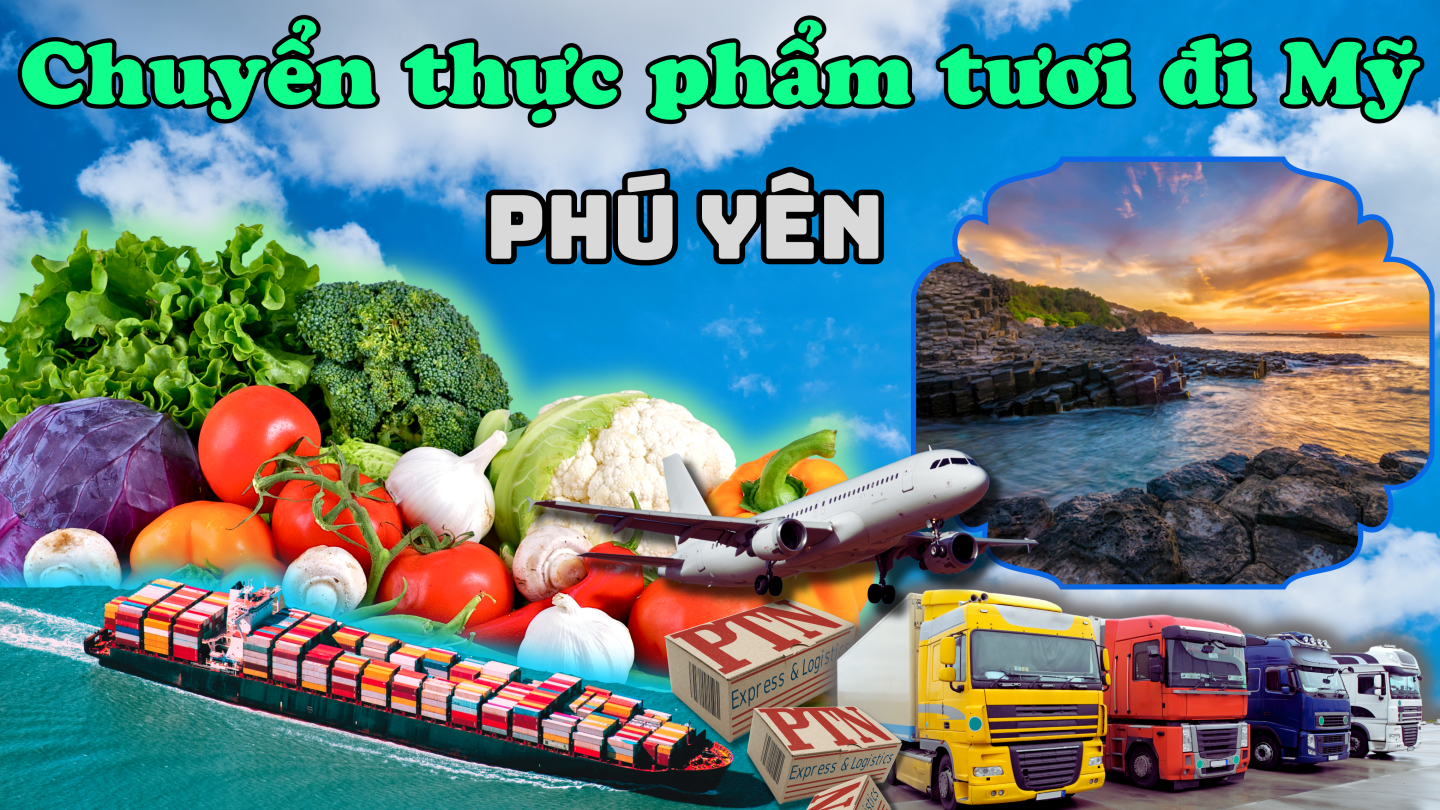 Gửi thực phẩm tươi đi Mỹ tại Phú Yên