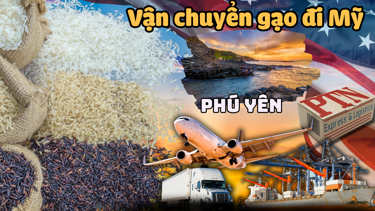 Vận chuyển gạo đi Mỹ tại Phú Yên