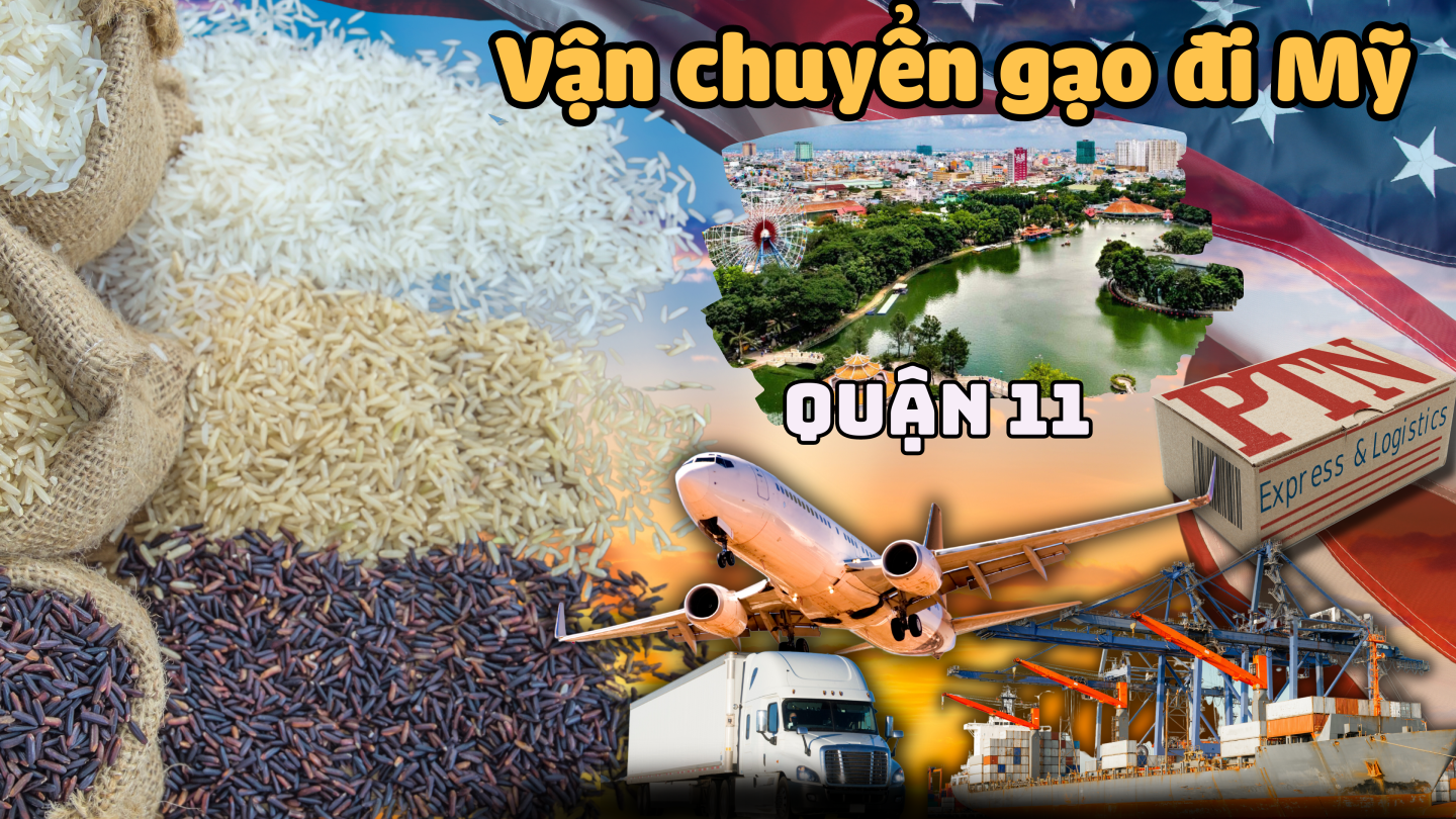 Vận chuyển gạo đi Mỹ tại Quận 11