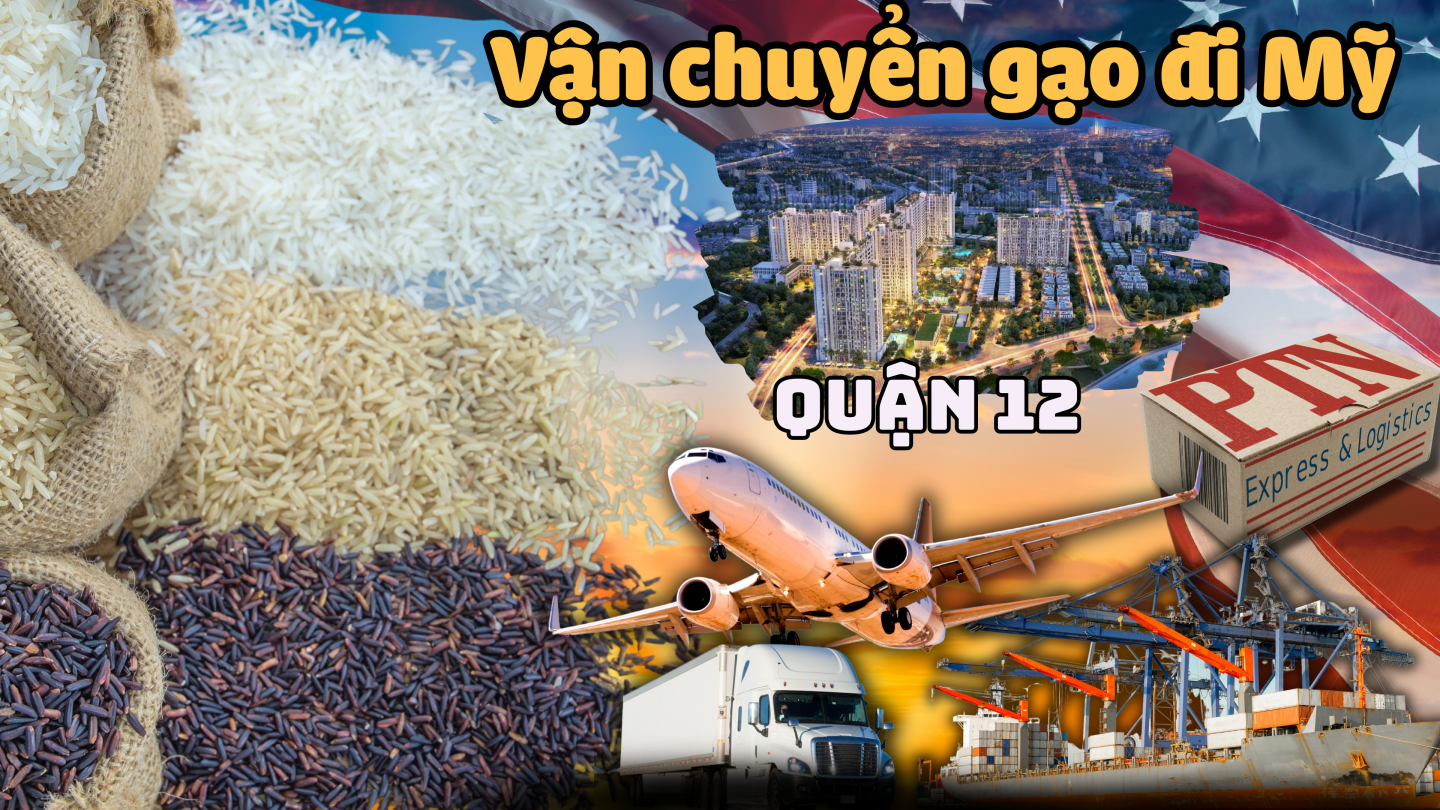 Vận chuyển gạo đi Mỹ tại Quận 12