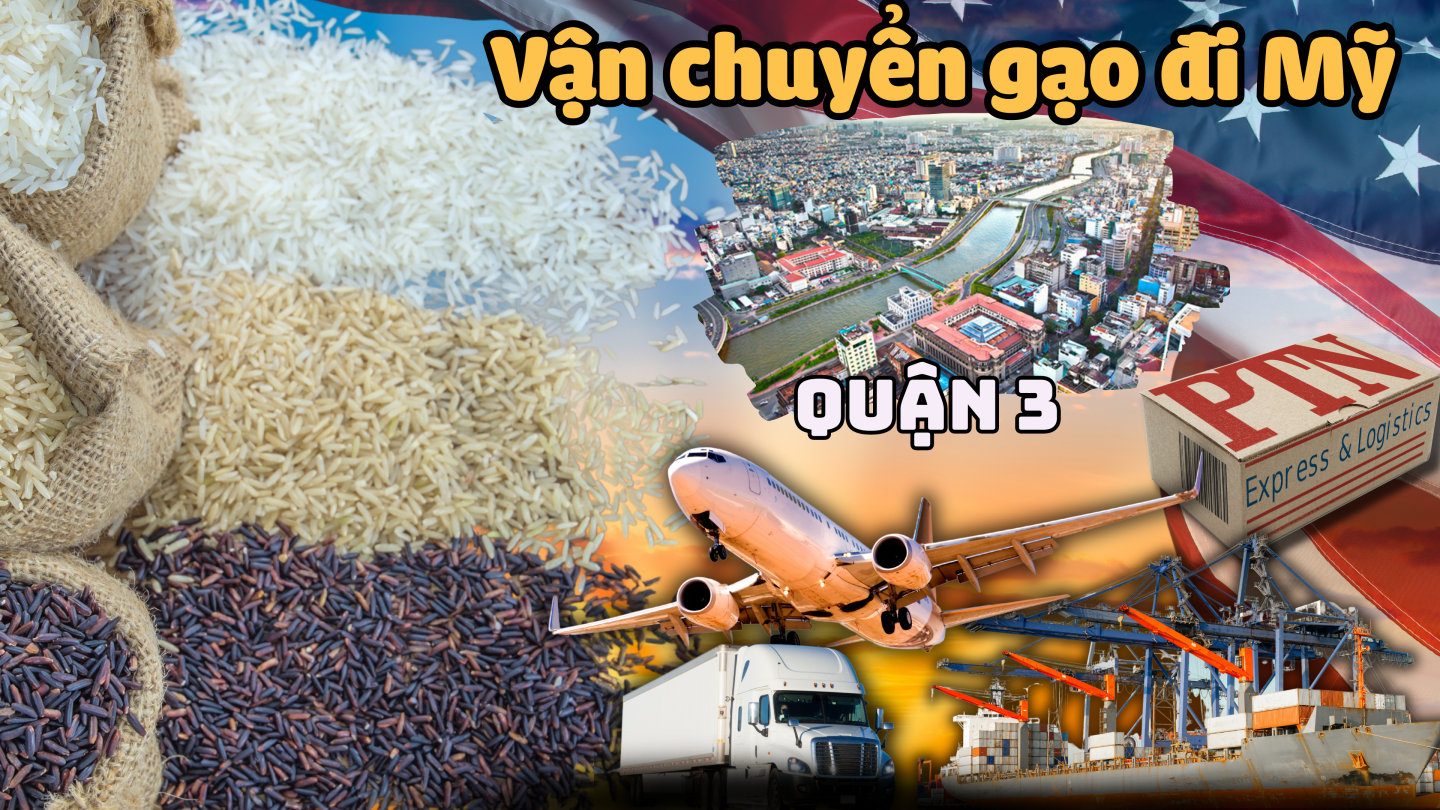 Vận chuyển gạo đi Mỹ tại Quận 3