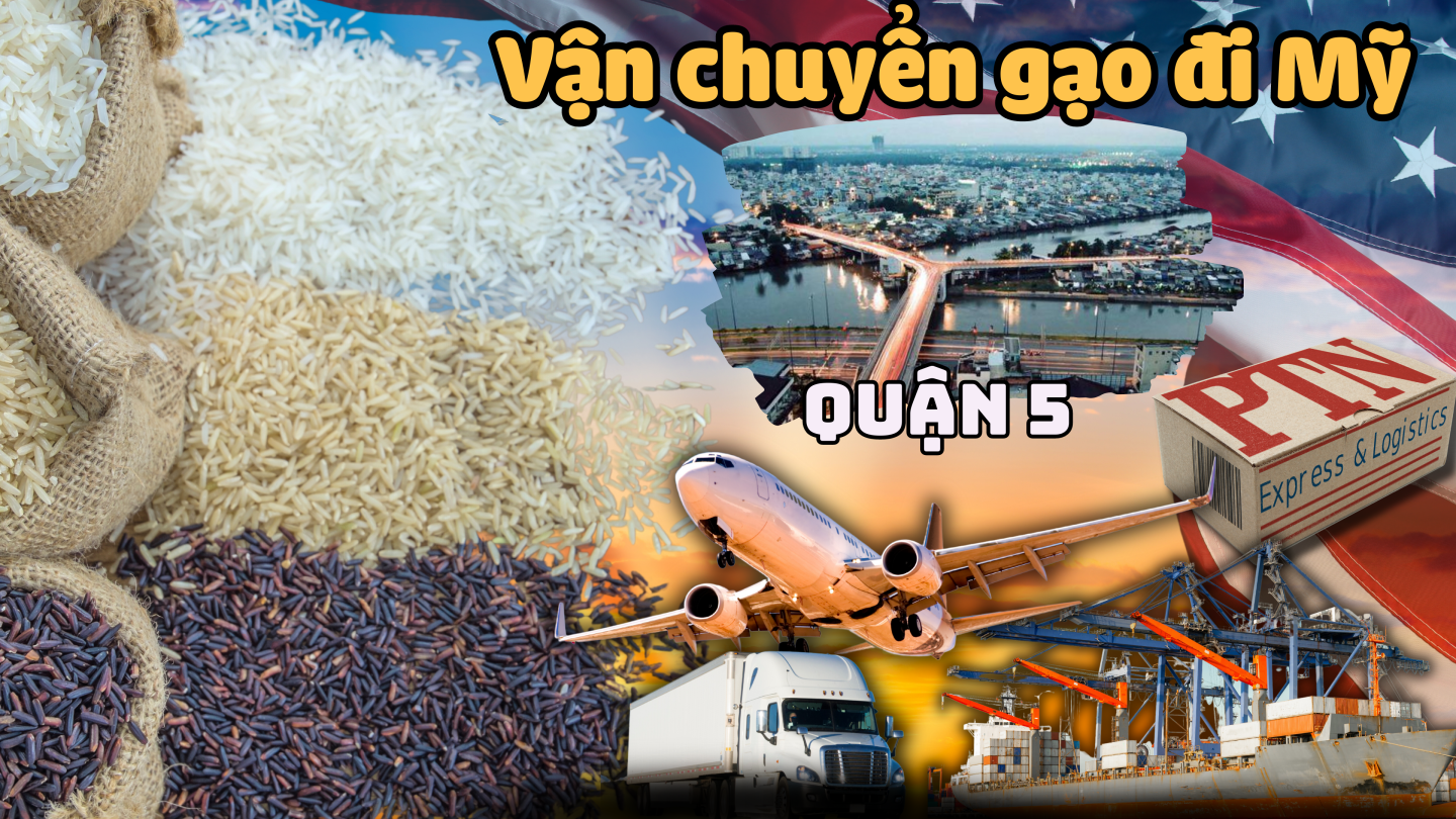 Vận chuyển gạo đi Mỹ tại Quận 5