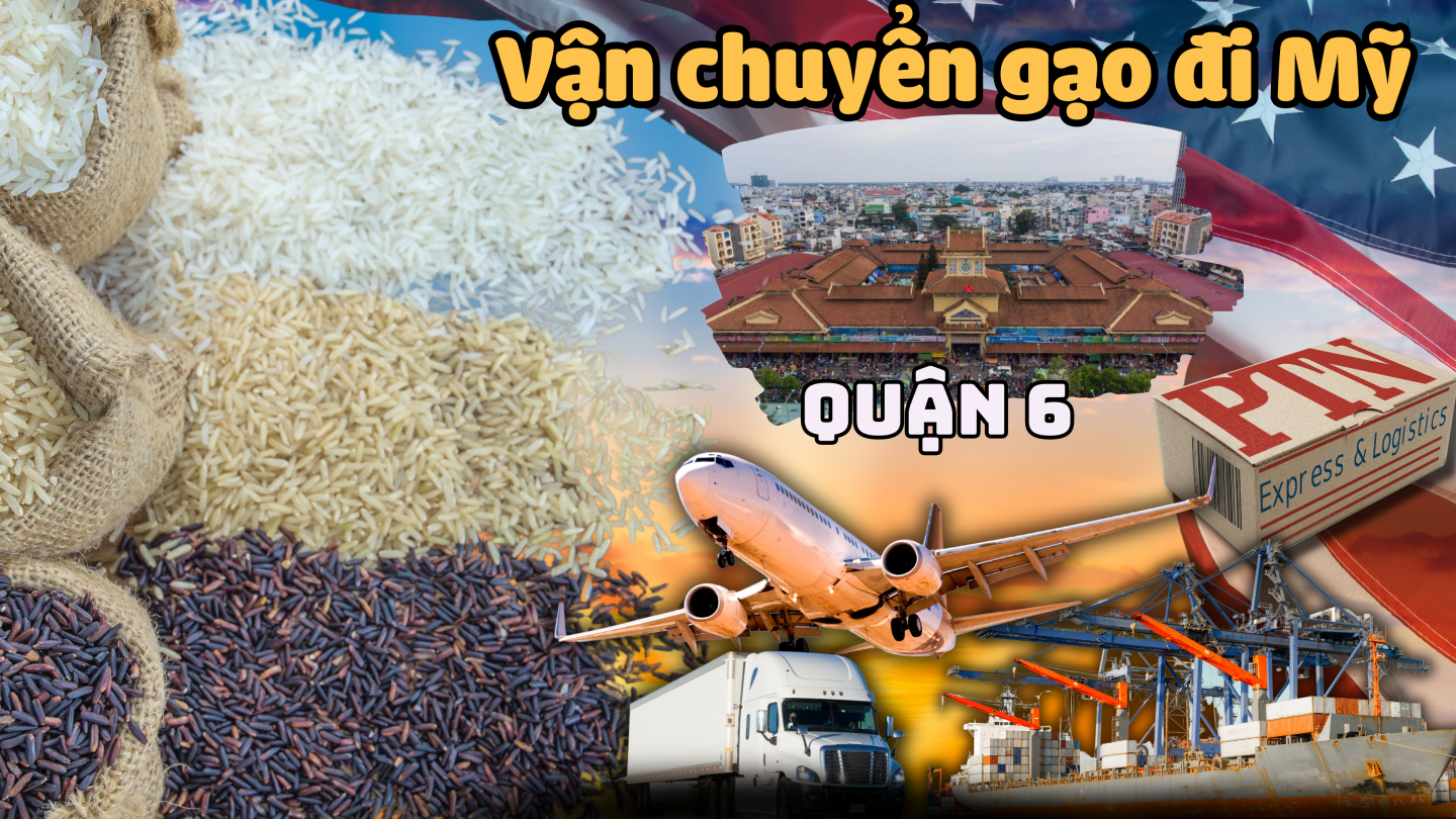 Vận chuyển gạo đi Mỹ tại Quận 6