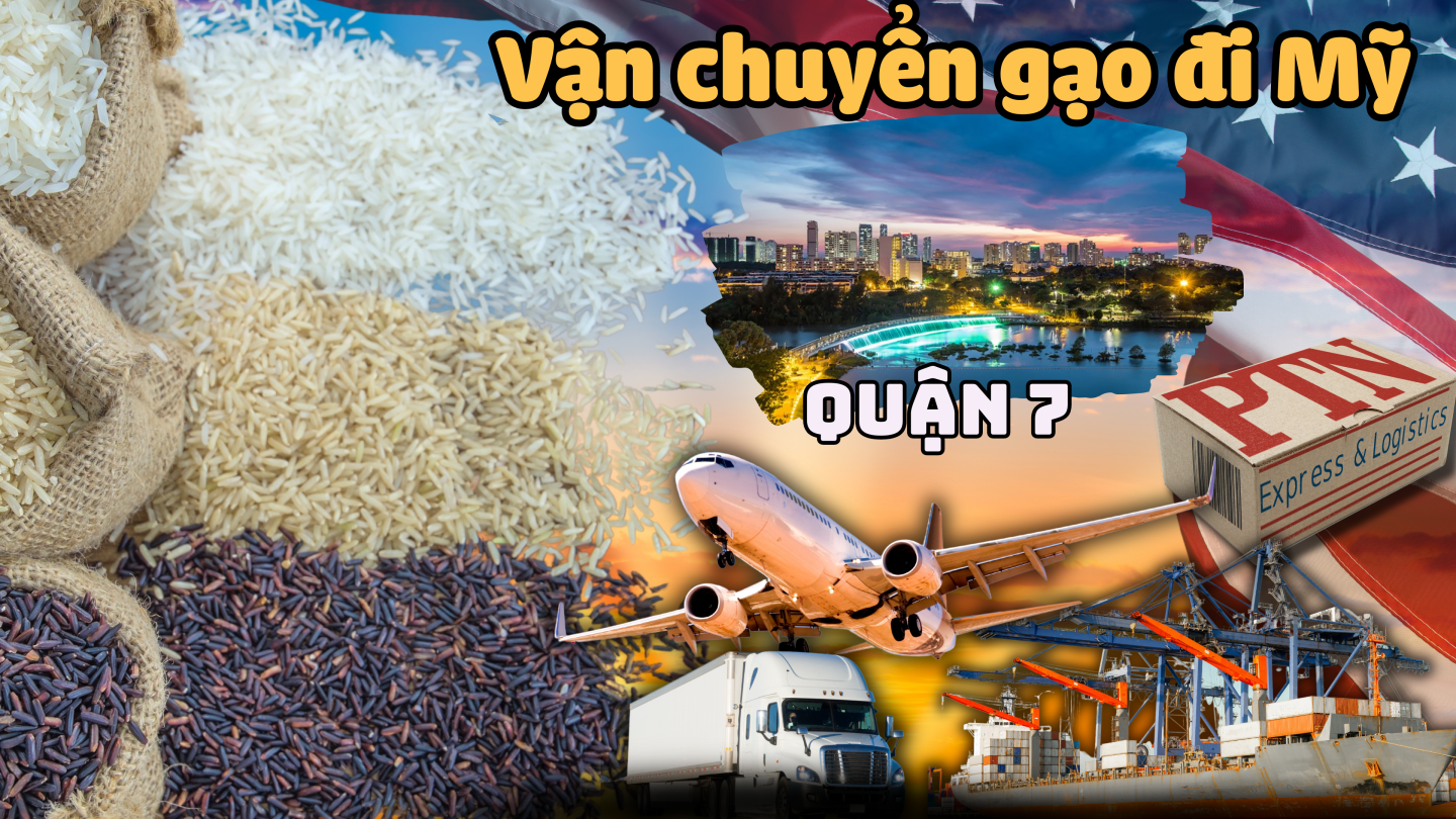 Vận chuyển gạo đi Mỹ tại Quận 7