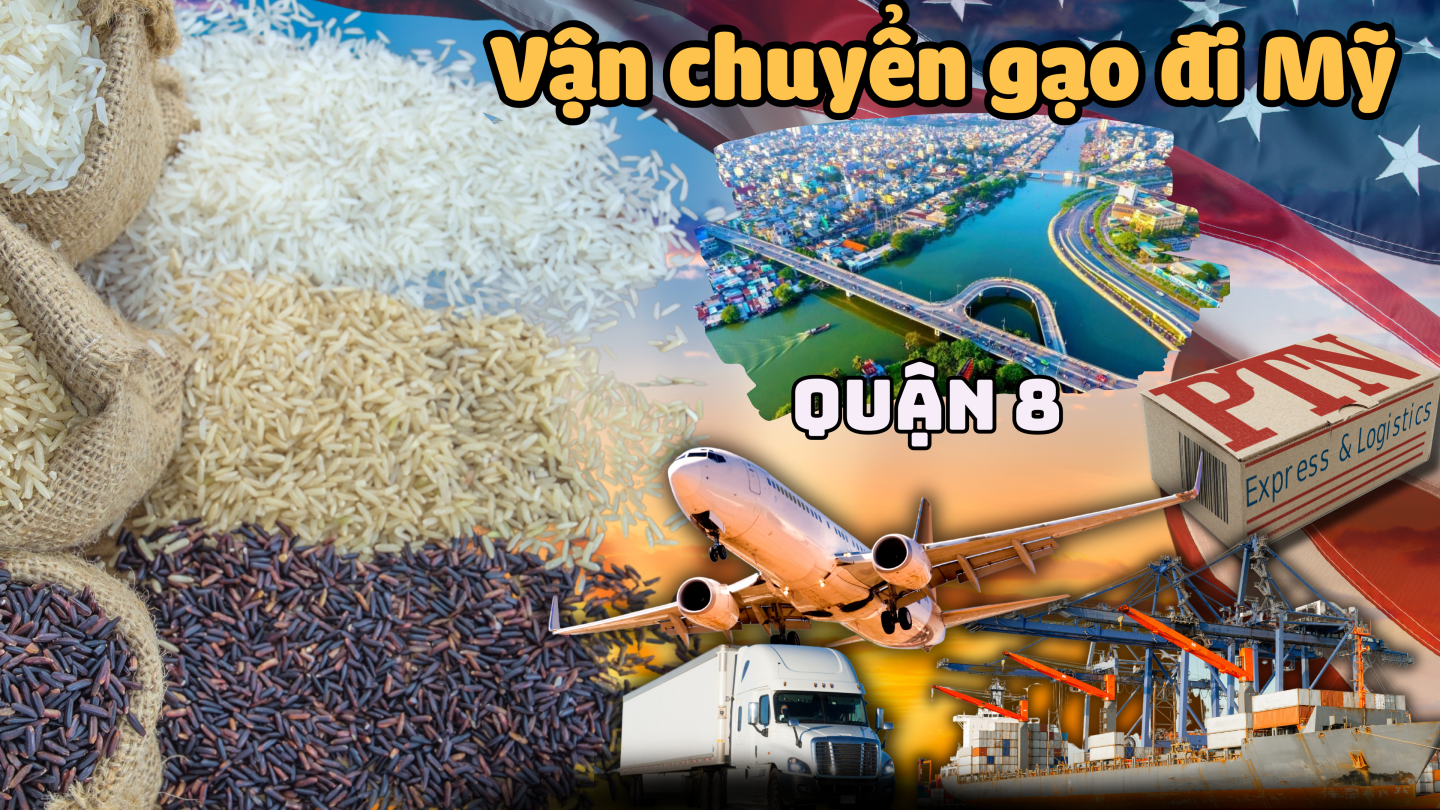 Vận chuyển gạo đi Mỹ tại Quận 8