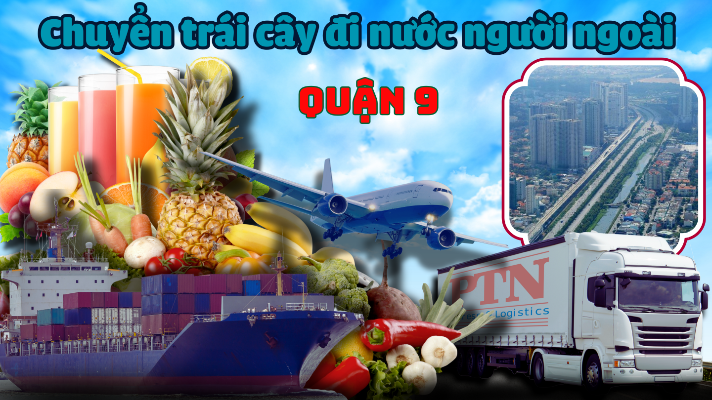 Vận chuyển trái cây đi Mỹ tại Quận 9