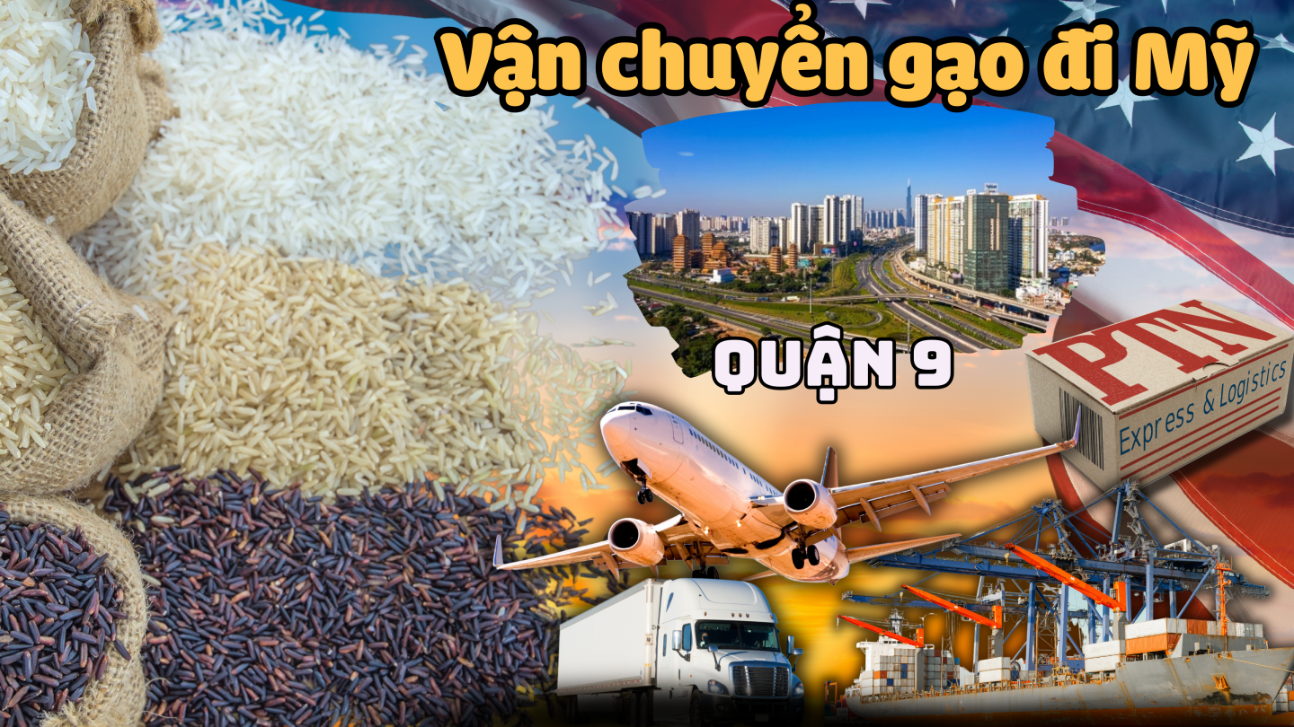 Vận chuyển gạo đi Mỹ tại Quận 9