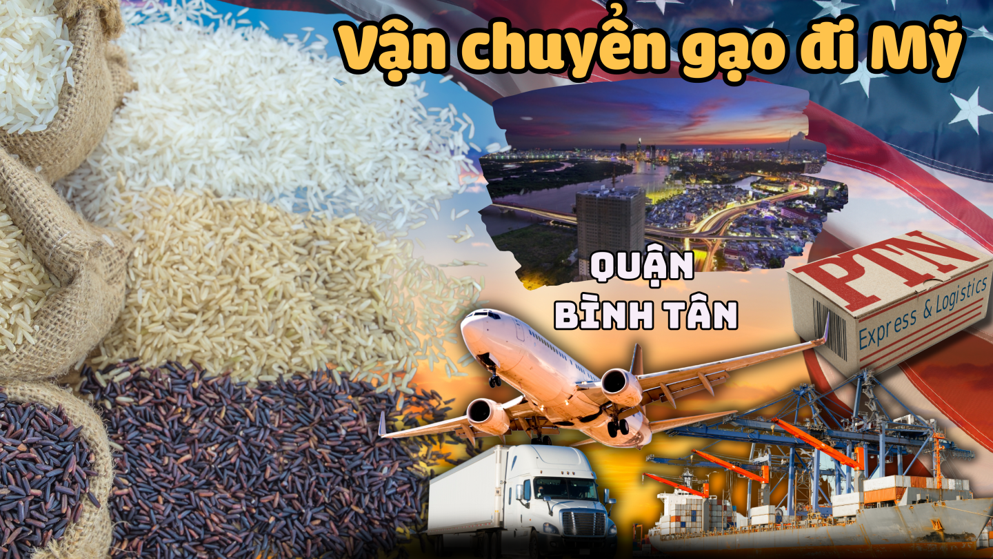 Vận chuyển gạo đi Mỹ tại Bình Tân