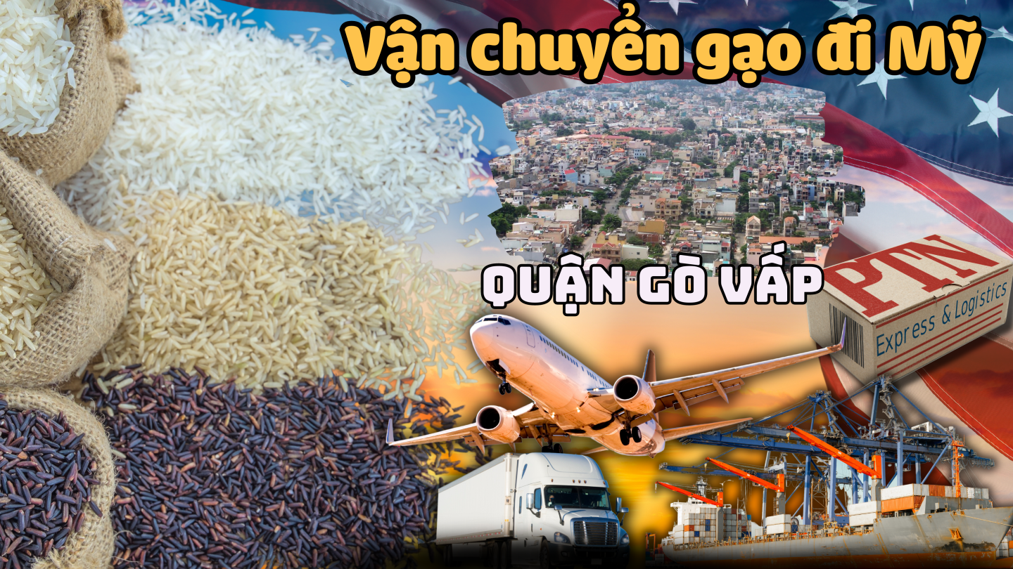 Vận chuyển gạo đi My tại Gò Vấp