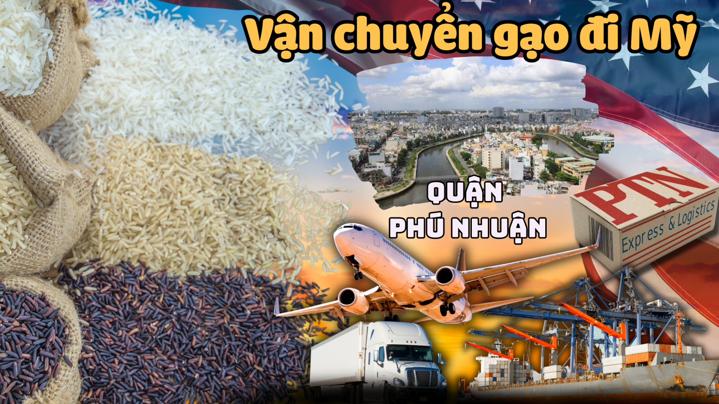 Vận chuyển gạo đi Mỹ tại Phú Nhuận