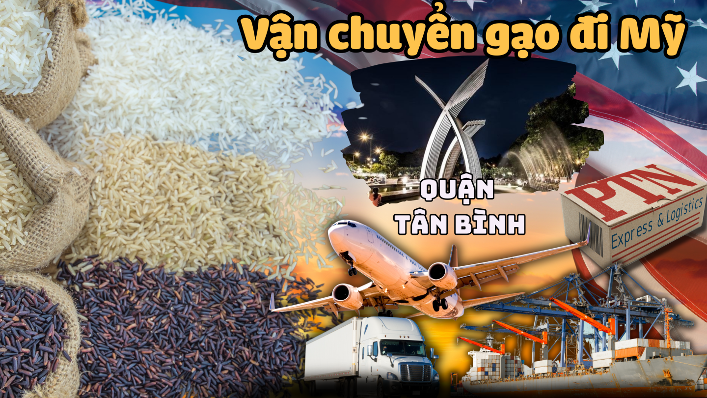 Vận chuyển gạo đi Mỹ tại Tân Bình