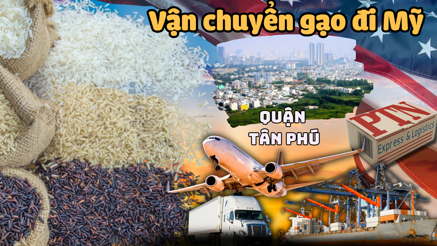 Vận chuyển gạo đi Mỹ tại Tân Phú