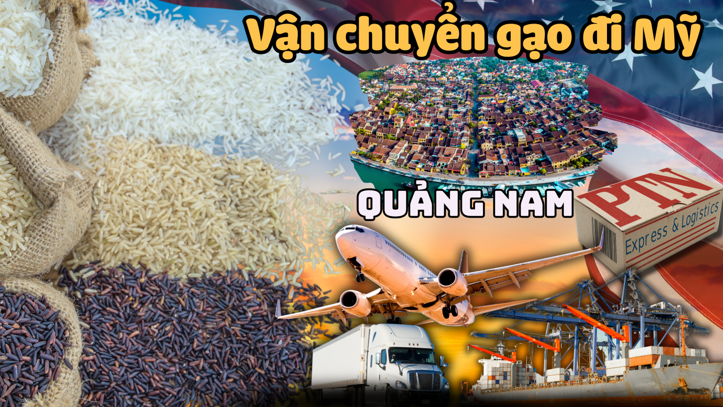 Vận chuyển gạo đi Mỹ tại Quang Nam