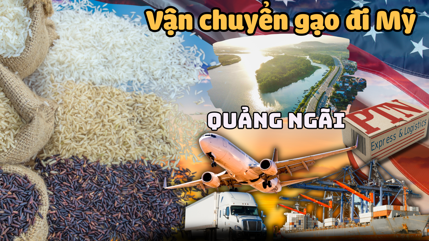 Vận chuyển gạo đi Mỹ tại Quảng Ngãi