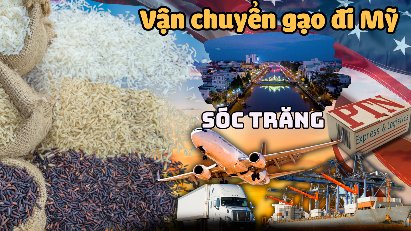 Vận chuyển gạo đi mỹ tại Sóc Trăng