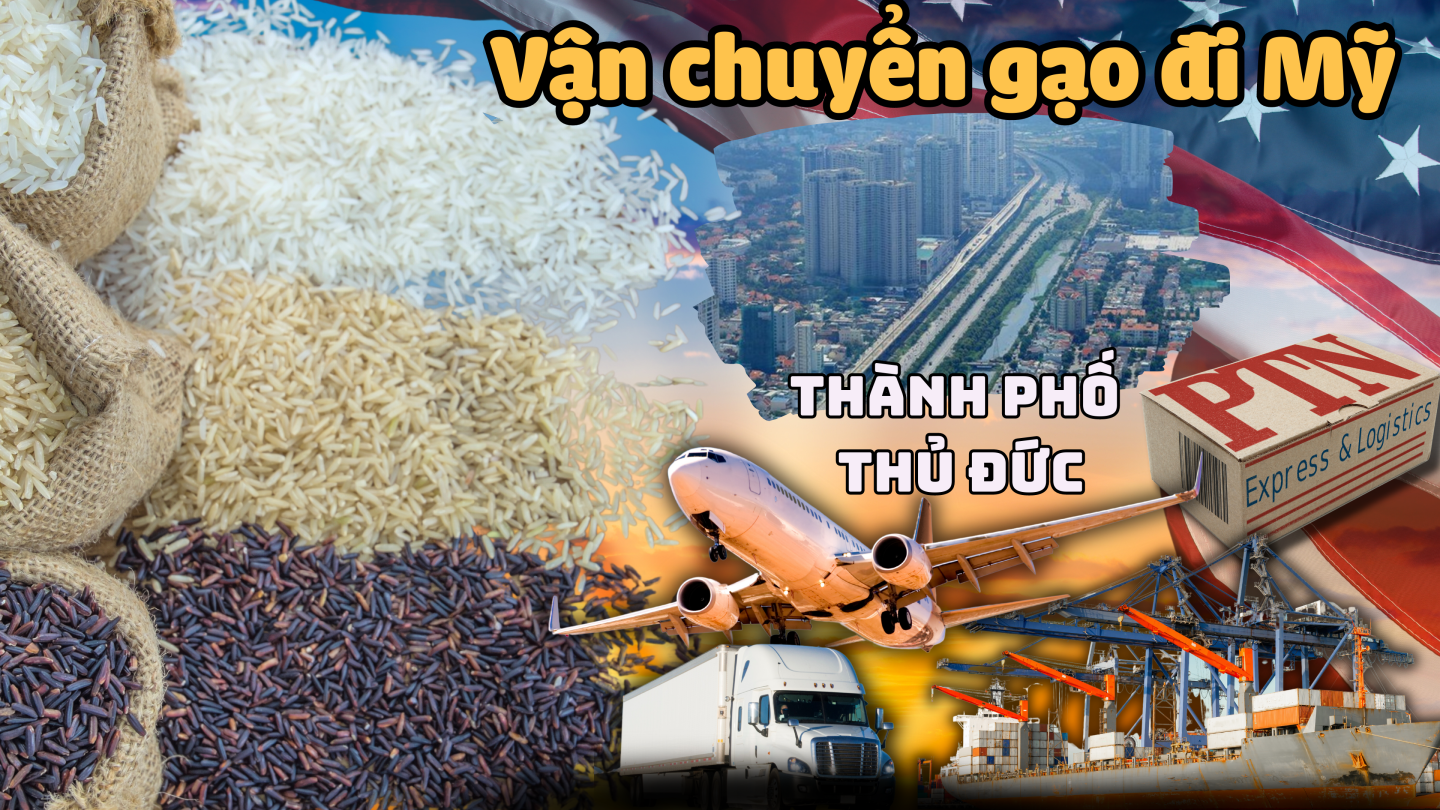 Vận chuyển gạo đi Mỹ tại Thủ Đức