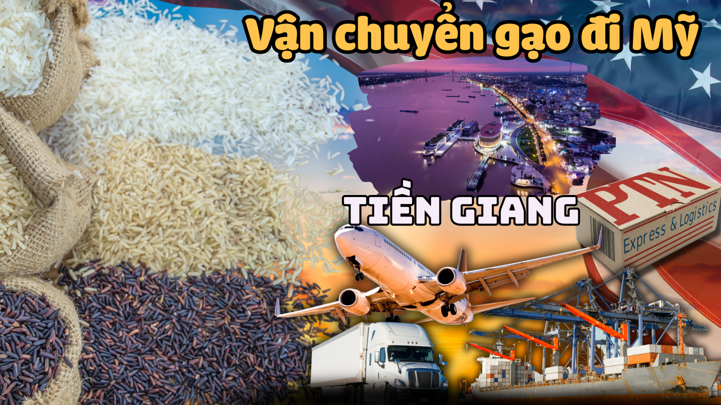 Vận chuyển gạo đi Mỹ tại Tiền Giang