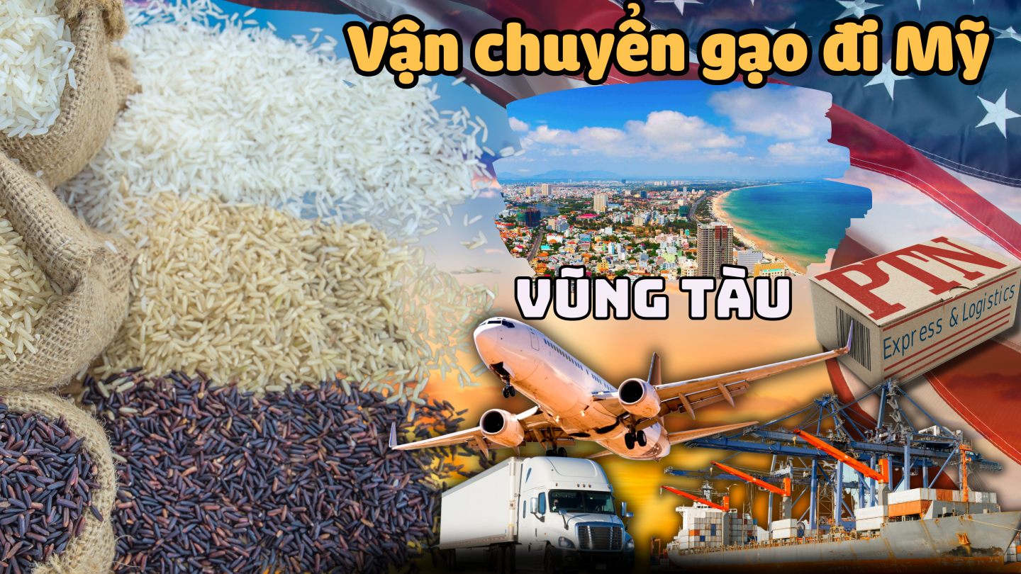 Vận chuyển gạo đi Mỹ tại Vũng Tàu